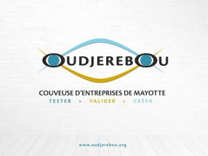 Oudjérébou recrute un chargé de mission accompagnement
