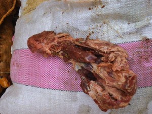 viande de zebu fraiche ayant ete acheminee sans conditionnement