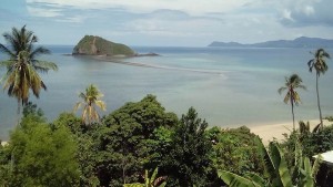 Création d’une réserve naturelle nationale des forêts publiques de Mayotte