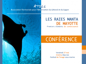 Festival de l’image sous-marine : les raies manta de Mayotte