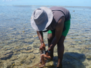 Fermeture temporaire de la pêche au poulpe à Mbouanatsa