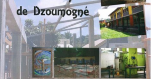 Journée portes ouvertes lycée polyvalent de Dzoumogné