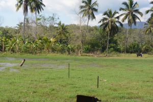 Exposition « Les zones humides à Mayotte »