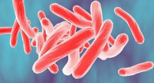 Un nouveau cas de Tuberculose à Sada