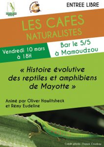 Le prochain « Café Naturaliste » traitera des reptiles et amphibiens de Mayotte