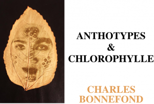 Vernissage de l’exposition « Anthotypes & Chlorophylle »