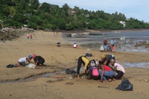 La plage de Sada nettoyée par 2 classes de lycéens