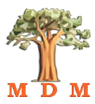 MDM: Congrès d’investiture des législatives et sénatoriales dans moins de 15 jours