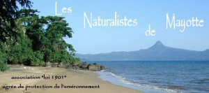L’association « Les Naturalistes de Mayotte » recrute un nouveau directeur