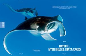 Mayotte à la Une du magazine PLONGEZ !