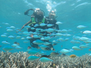 6ème édition de l’opération « Premières bulles au pays du corail » : Le Parc invite les jeunes à se mettre à l’eau