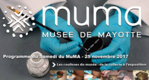 Les coulisses du Muma : de la collecte à l’exposition
