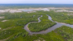 Poursuivis par la BAC, ils prennent la fuite direction la mangrove de M’Gombani