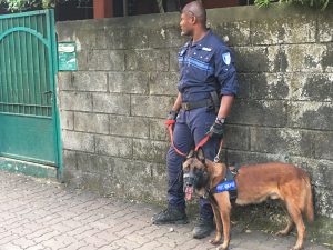 brigade canine chien police