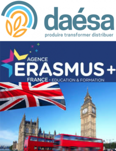 25 places disponibles pour faire un stage à l’international grâce à DAESA et Erasmus+