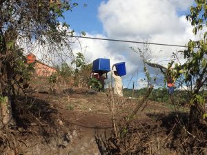 48277977_519012611929360_4382683507575488512_n