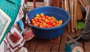 Le CODAF contrôle les vendeurs de tomates sur Petite-terre