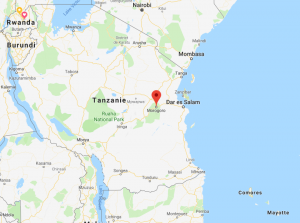Tanzanie : 71 morts dans l’explosion d’un camion citerne