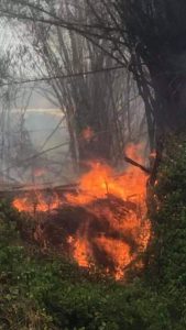 Incendie en cours à Tsararano : les automobilistes sont appelés à la prudence