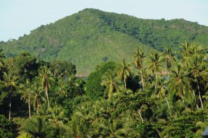 Environnement : la Réserve Naturelle Nationale de Mayotte est née