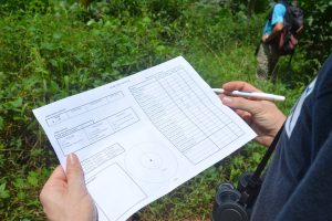 Le GEPOMAY cherche des bénévoles pour observer les oiseaux de Mayotte