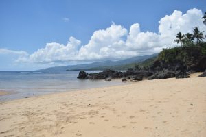 L’avenir du tourisme à Mayotte, une interrogation majeure pour les professionnels