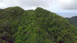 Les Naturalistes de Mayotte s’invitent dans le débat sur la crise de l’eau