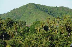 MNE interpelle le Garde des Sceaux sur les graves atteintes à l’environnement à Mayotte