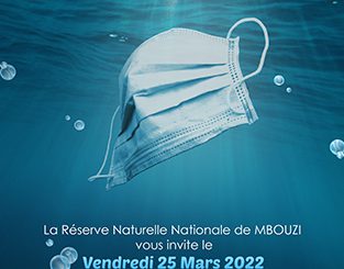 Journée de ramassage des déchets sous-marins sur l’ilot M’Bouzi