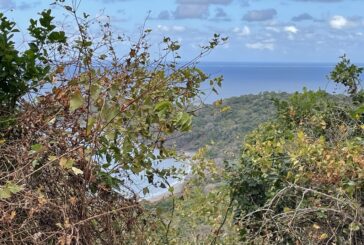 FIN ALERTE METEO : Mayotte n’est plus placée en vigilance « Vagues submersions marines »