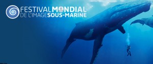 Inscription au Festival de l’image sous-marine de Mayotte