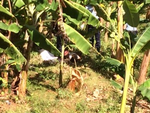 Un cadavre découvert à Trévani (photo+vidéo)