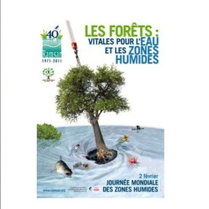 Journée mondiale des zones humides : la mairie de Mamoudzou organise une exposition