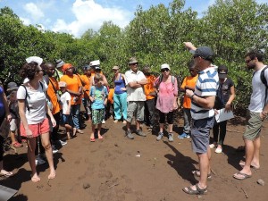 Plus de 280 personnes ont découvert les mangroves de Mayotte