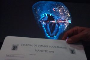 Les lauréats 2017 du concours de l’image sous-marine connus dans un mois