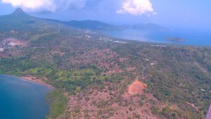 La déforestation, un enjeu majeur pour la préservation de Mayotte et de sa biodiversité