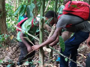 Les associations au chevet de la biodiversité de Mayotte