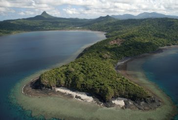 Les activités des Naturalistes de Mayotte en janvier 2021