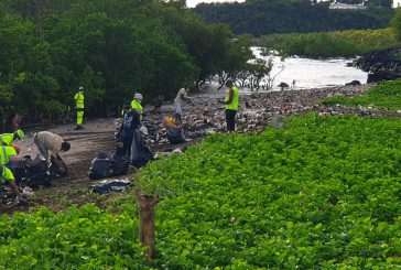 Ce matin à Majicavo, la population nettoyait la mangrove
