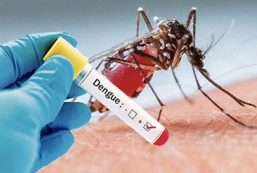 La dengue de retour sur l’île de la Réunion