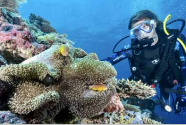 L’IFRECOR livre le bilan de l’État de Santé des Récifs Coralliens français