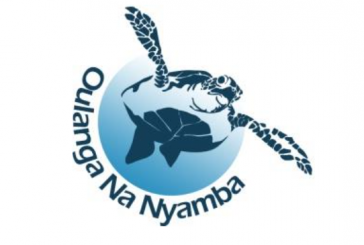 #DessineMoiUneTortue, la nouvelle campagne de l’association Oulanga na Nyamba