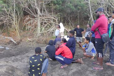 Des collégiens en bivouac à Saziley pour découvrir les tortues marines
