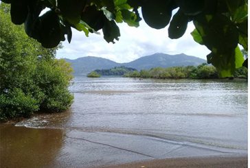 Mayotte Nature Environnement fête ses 10 ans d’existence