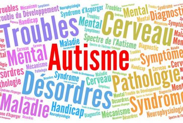 Mise en place de deux unités d’enseignement élémentaire pour enfants avec troubles du spectre de l’autisme à Mayotte