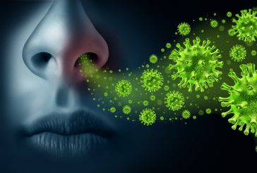 La grippe et la bronchiolite désorganisent le CHM