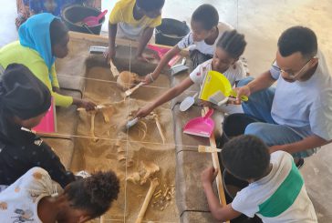 Journées Européennes de l’Archéologie : améliorer la connaissance de l’histoire de Mayotte auprès du plus grand nombre