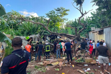 Une jeune fille âgée de 14 ans meurt écrasée par la chute d’un arbre à Combani
