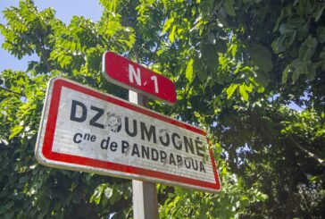Vandalisme : l’hôpital de Dzoumogné fermé