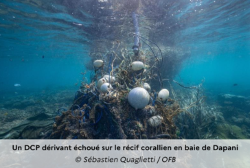 Pollution : Un DCP dérivant de thoniers senneurs abîme le corail à Dapani